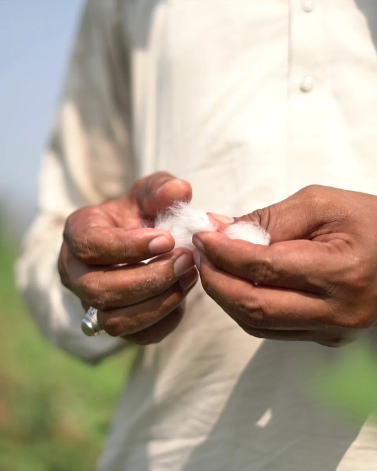 Better Cotton